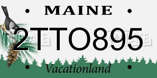 2TTO895 Maine License Plate