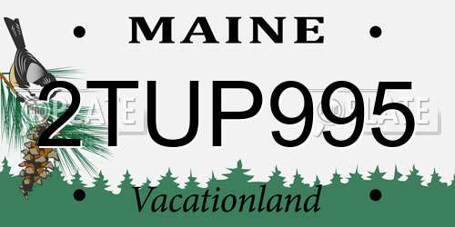 2TUP995 Maine License Plate