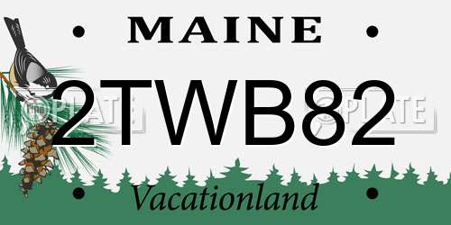 2TWB82 Maine License Plate