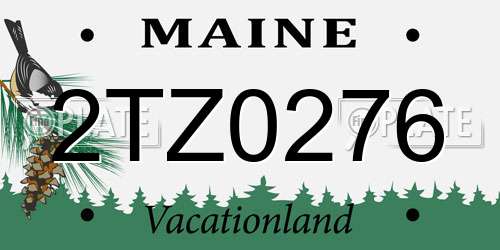 2TZ0276 Maine License Plate