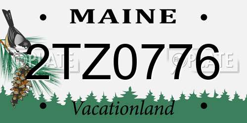 2TZ0776 Maine License Plate