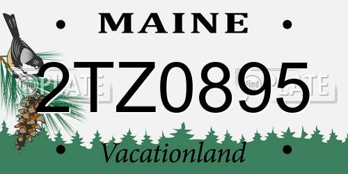 2TZ0895 Maine License Plate