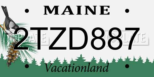 2TZD887 Maine License Plate