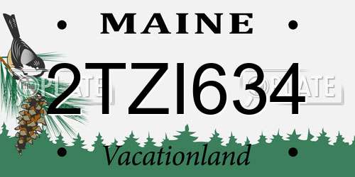 2TZI634 Maine License Plate