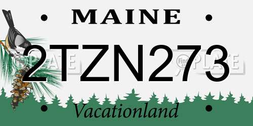 2TZN273 Maine License Plate