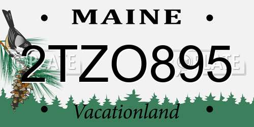 2TZO895 Maine License Plate