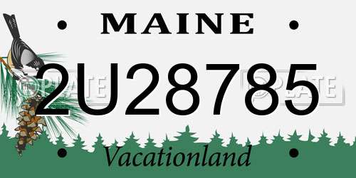 2U28785 Maine License Plate