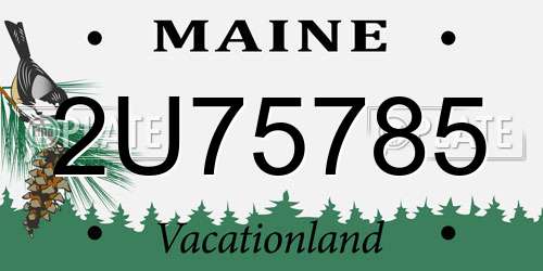 2U75785 Maine License Plate