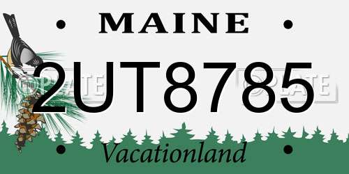 2UT8785 Maine License Plate