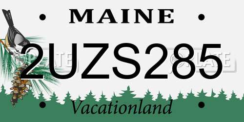 2UZS285 Maine License Plate