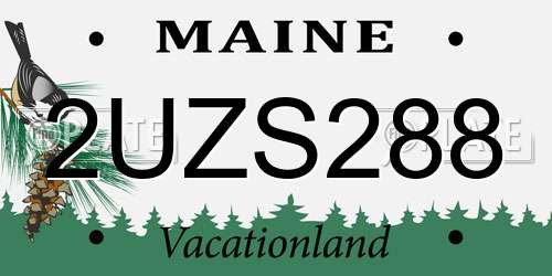 2UZS288 Maine License Plate