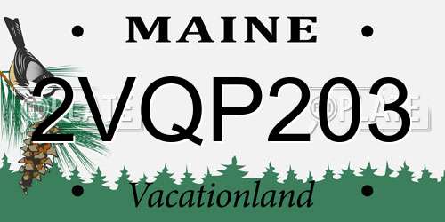 2VQP203 Maine License Plate