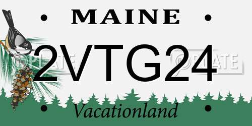 2VTG24 Maine License Plate