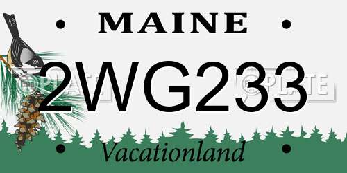 2WG233 Maine License Plate