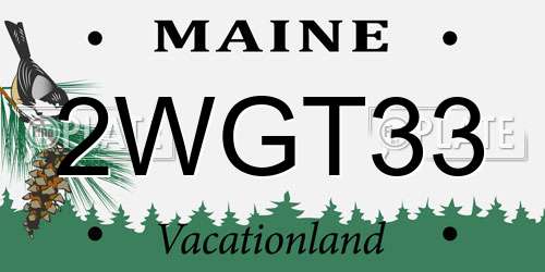 2WGT33 Maine License Plate