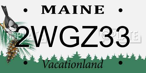 2WGZ33 Maine License Plate