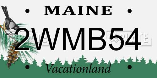 2WMB54 Maine License Plate
