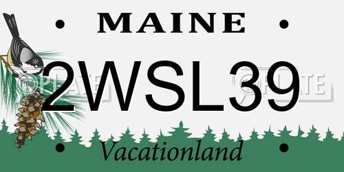 2WSL39 Maine License Plate