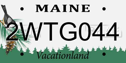 2WTG044 Maine License Plate