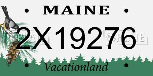 2X19276 Maine License Plate