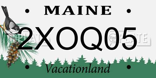 2XOQ05 Maine License Plate