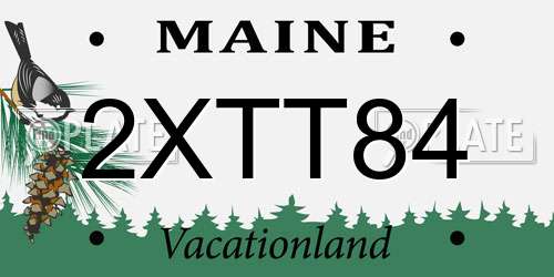 2XTT84 Maine License Plate