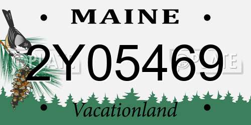 2Y05469 Maine License Plate