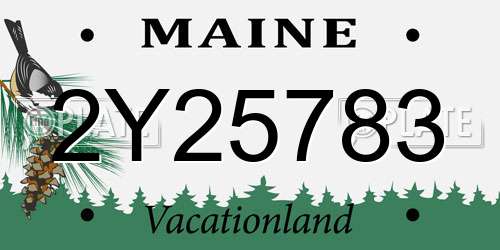 2Y25783 Maine License Plate