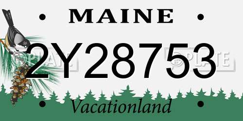 2Y28753 Maine License Plate