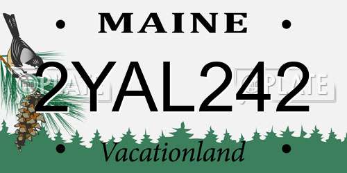 2YAL242 Maine License Plate