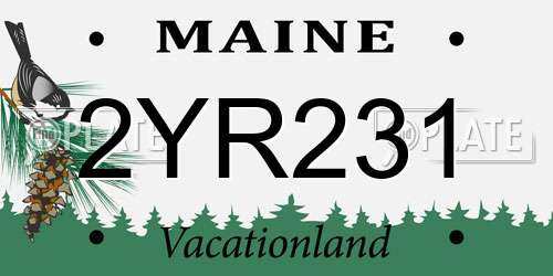 2YR231 Maine License Plate