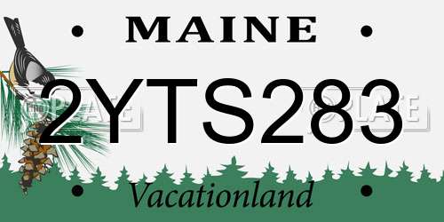 2YTS283 Maine License Plate