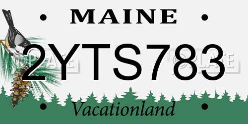 2YTS783 Maine License Plate
