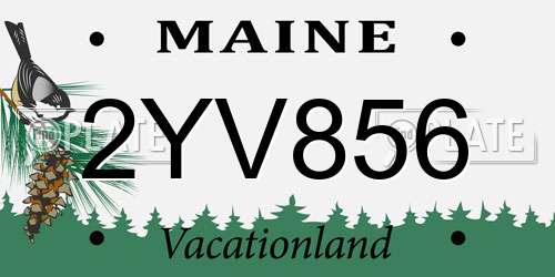 2YV856 Maine License Plate