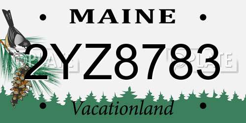 2YZ8783 Maine License Plate