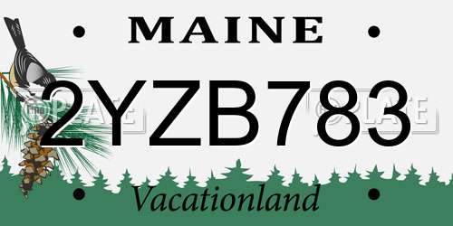 2YZB783 Maine License Plate