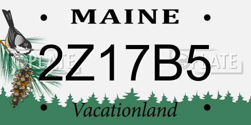 2Z17B5 Maine License Plate