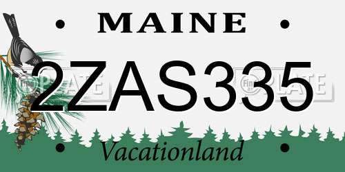 2ZAS335 Maine License Plate
