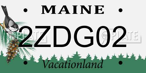 2ZDG02 Maine License Plate