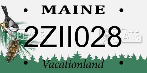 2ZII028 Maine License Plate