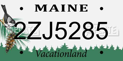 2ZJ5285 Maine License Plate