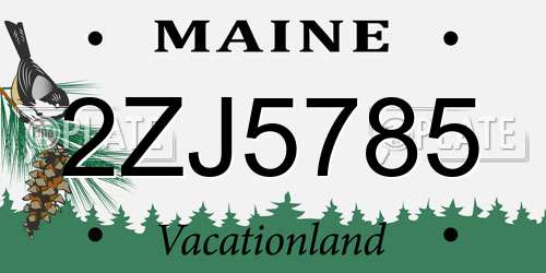 2ZJ5785 Maine License Plate