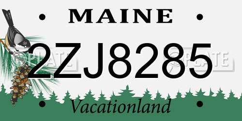 2ZJ8285 Maine License Plate