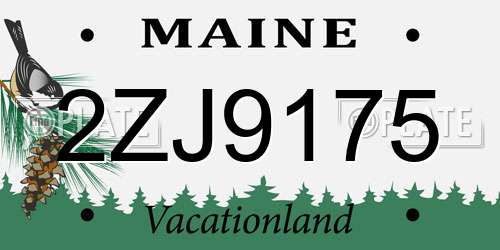 2ZJ9175 Maine License Plate
