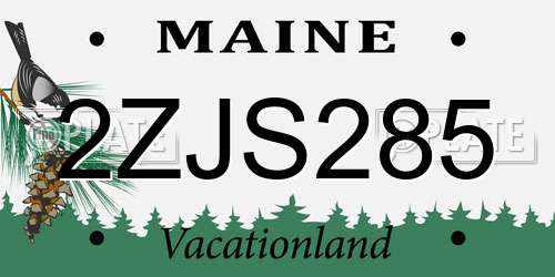 2ZJS285 Maine License Plate