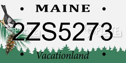 2ZS5273 Maine License Plate