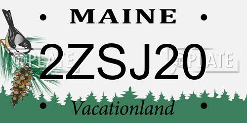 2ZSJ20 Maine License Plate