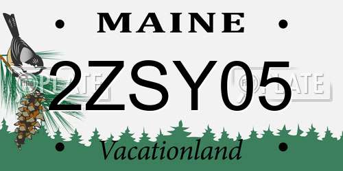 2ZSY05 Maine License Plate