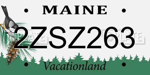 2ZSZ263 Maine License Plate