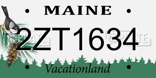 2ZT1634 Maine License Plate